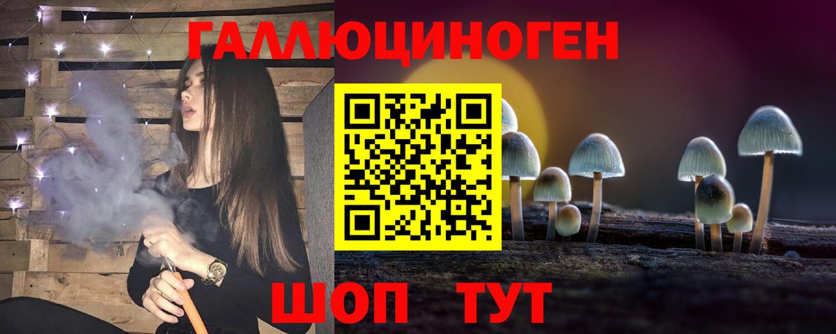 Галлюциногенные грибы MAGIC MUSHROOMS  Вход с VPN  Рассказово 